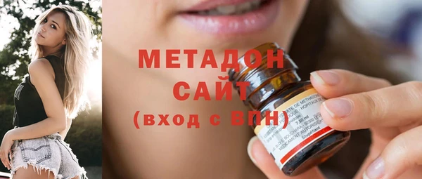 индика Дмитриев