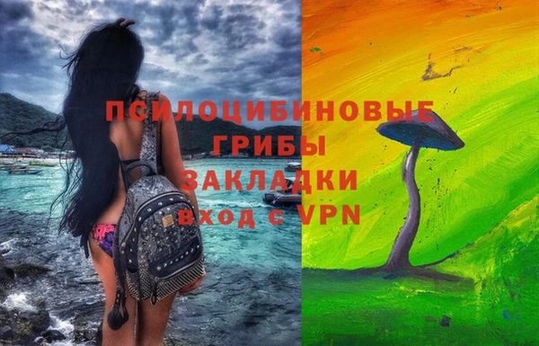 прущий лед Алексин
