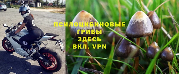 дурь Дмитров