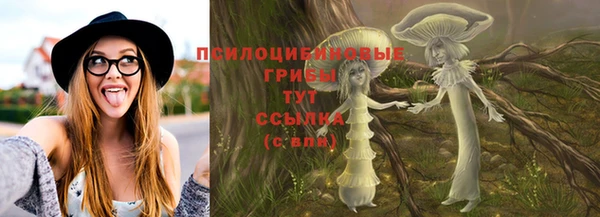 прущий лед Алексин